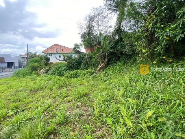 Terreno / Lote para Venda em Joinville/SC Iririú