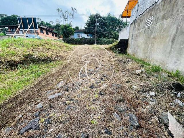 Terreno / Lote para Venda em Joinville/SC Itaum