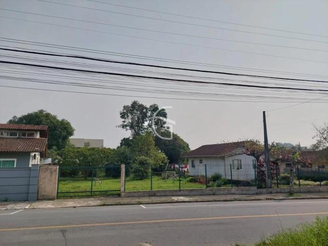 Terreno / Lote para Venda em Joinville/SC Itaum