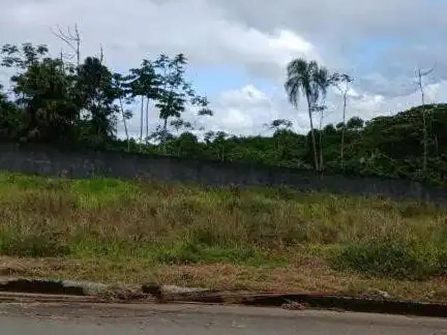 Terreno / Lote para Venda em Joinville/SC Itinga