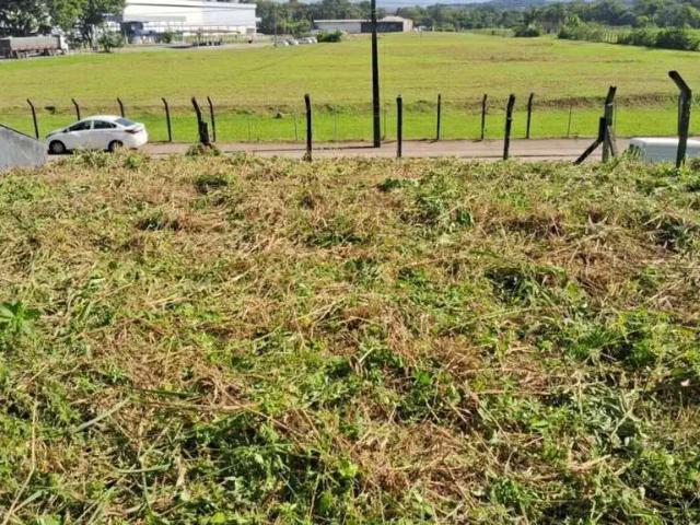 Terreno / Lote para Venda em Joinville/SC Jardim Sofia