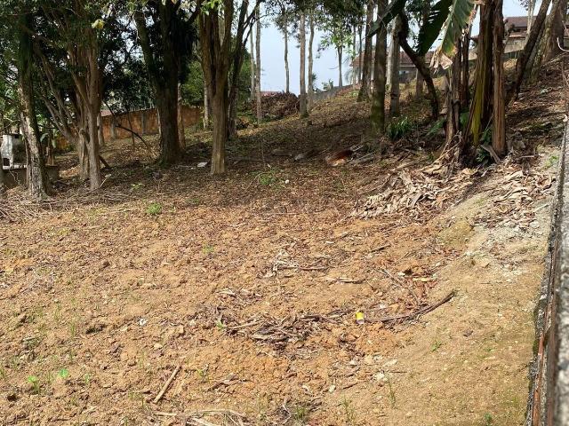 Terreno / Lote para Venda em Joinville/SC Jarivatuba