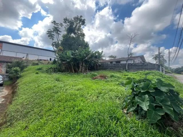 Terreno / Lote para Venda em Joinville/SC João Costa