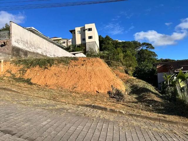 Terreno / Lote para Venda em Joinville/SC João Costa