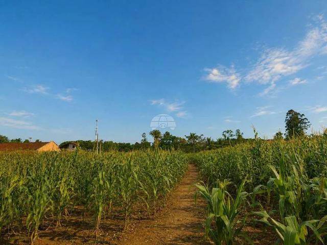 Terreno / Lote para Venda em Joinville/SC Morro do Meio