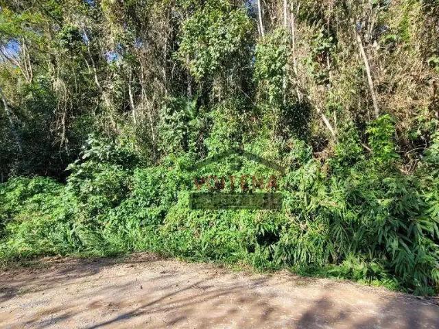 Terreno / Lote para Venda em Joinville/SC Nova Brasília