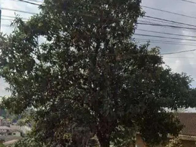 Terreno / Lote para Venda em Joinville/SC Nova Brasília
