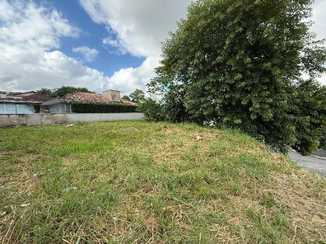 Terreno / Lote para Venda em Joinville/SC Paranaguamirim