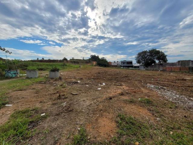 Terreno / Lote para Venda em Joinville/SC Paranaguamirim