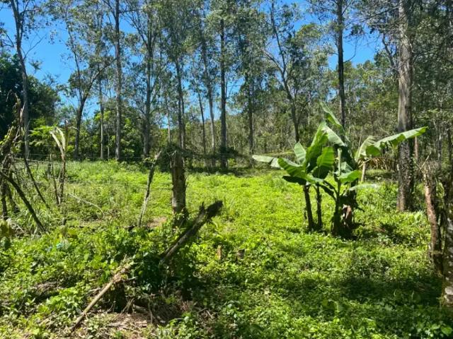 Terreno comercial para Venda em Joinville/SC Parque Guarani
