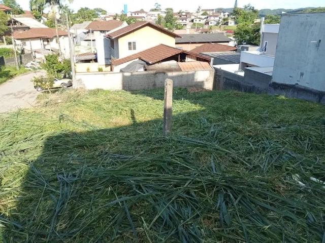 Terreno / Lote para Venda em Joinville/SC Petrópolis