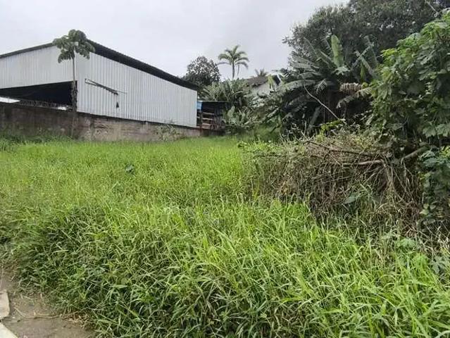 Terreno / Lote para Venda em Joinville/SC Petrópolis