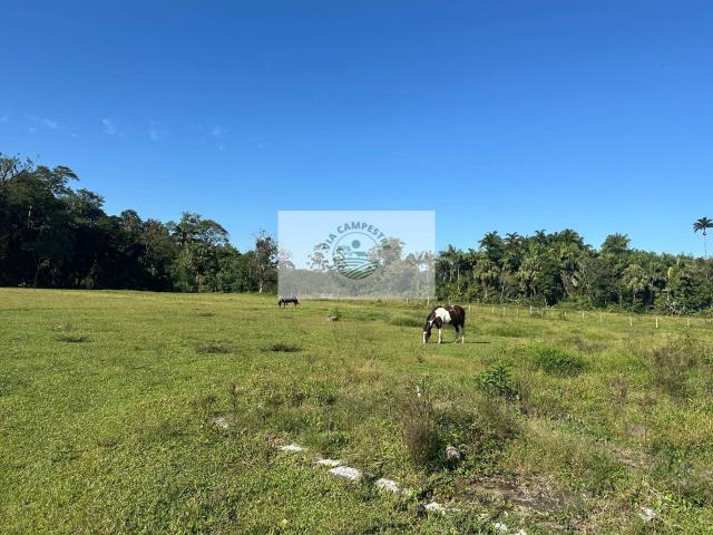 Terreno / Lote para Venda em Joinville/SC Pirabeiraba