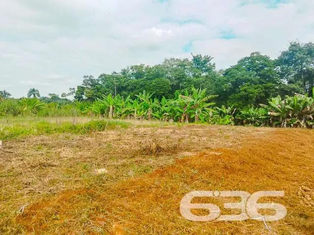 Terreno / Lote para Venda em Joinville/SC Pirabeiraba