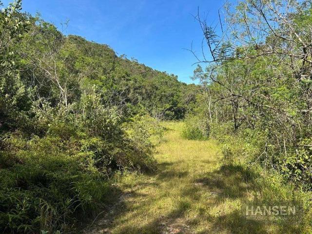 Terreno / Lote para Venda em Joinville/SC Santa Catarina