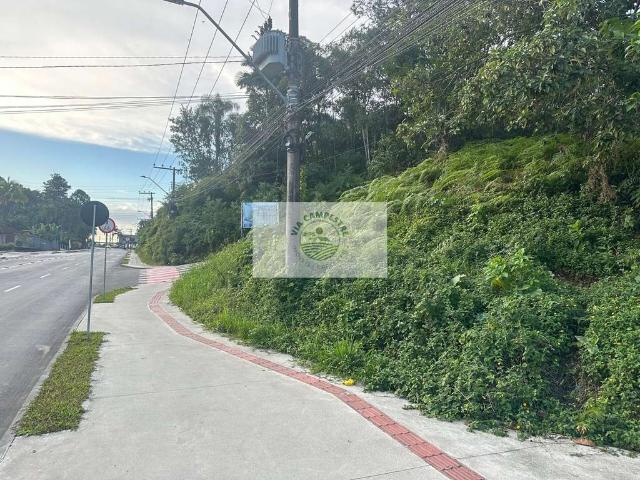Terreno / Lote para Venda em Joinville/SC Santa Catarina