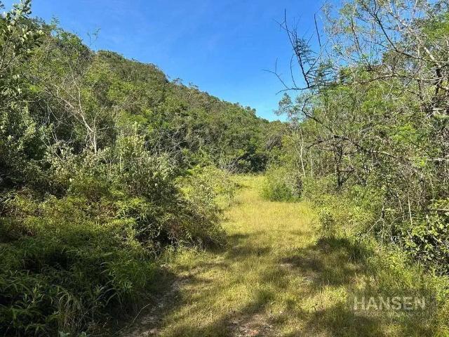 Terreno / Lote para Venda em Joinville/SC Santa Catarina