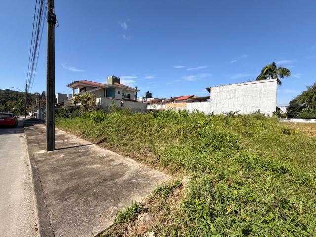 Terreno / Lote para Venda em Joinville/SC Santo Antônio