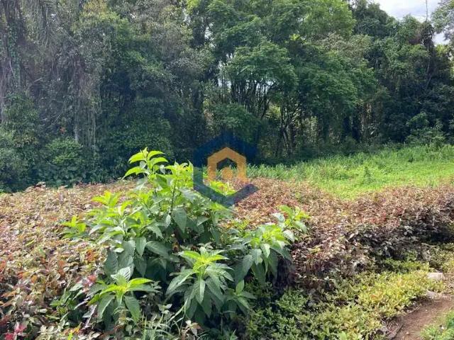 Terreno / Lote para Venda em Joinville/SC Santo Antônio
