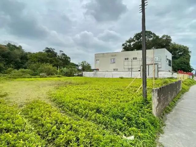Terreno / Lote para Venda em Joinville/SC Santo Antônio