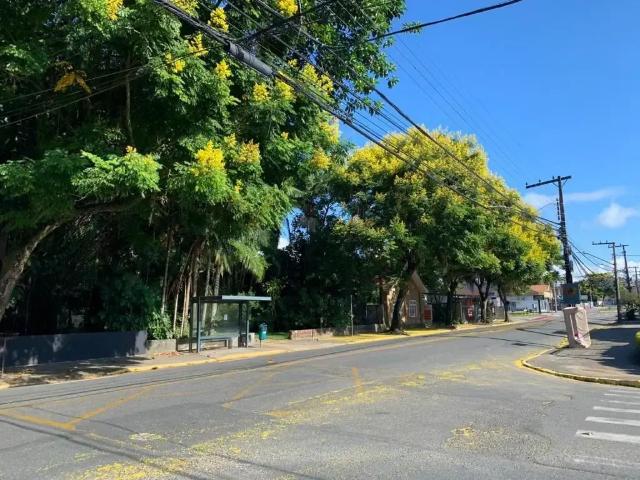Terreno / Lote para Venda em Joinville/SC Saguaçu
