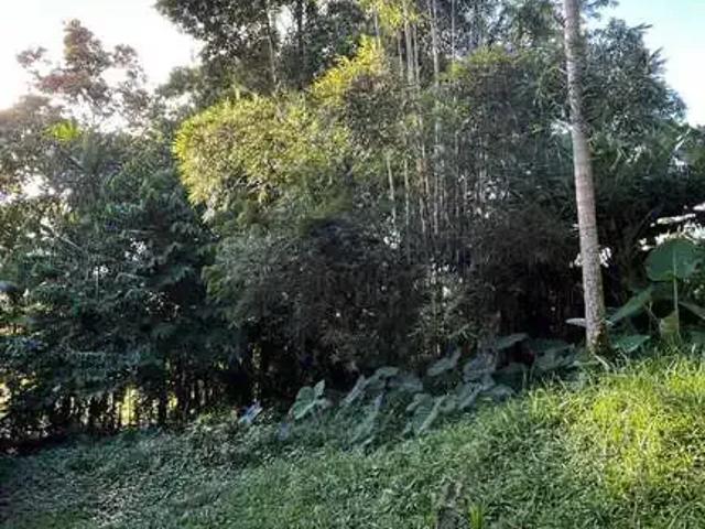 Terreno / Lote para Venda em Joinville/SC Saguaçu