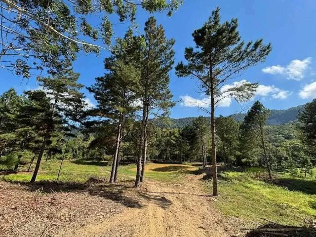 Terreno / Lote para Venda em José Boiteux/SC Centro