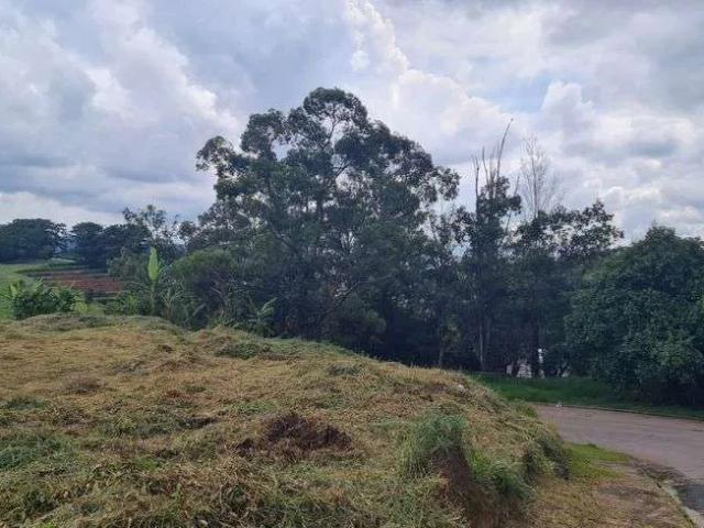 Terreno / Lote para Venda em Jundiaí/SP Jardim Santa Adelaide