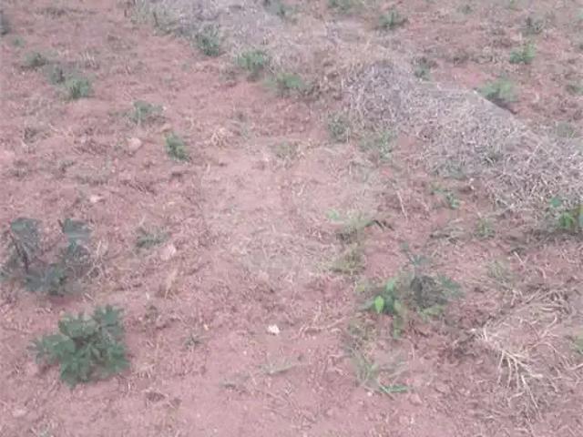 Terreno / Lote para Venda em Jundiaí/SP Loteamento Pinheirinho