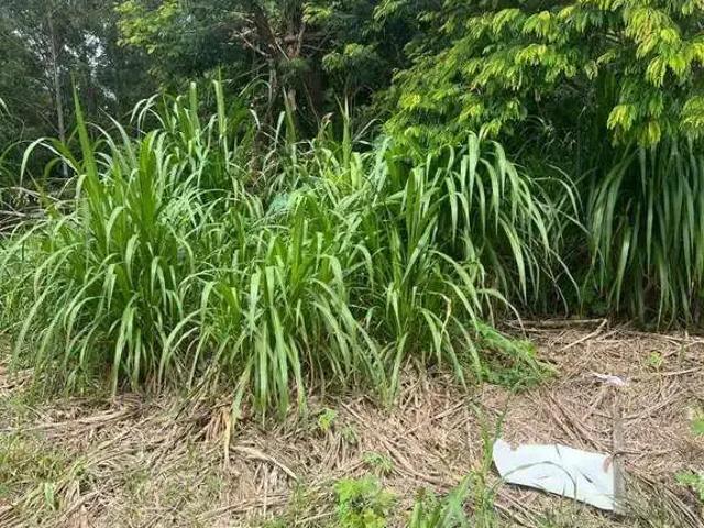 Terreno / Lote para Venda em Jundiaí/SP Malota