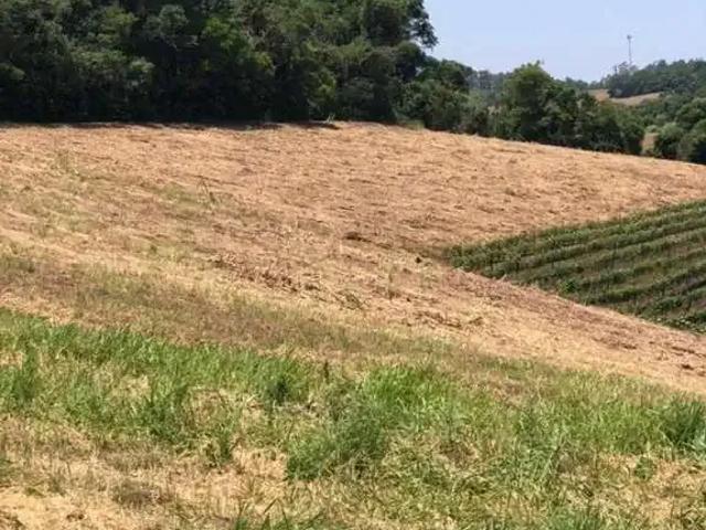 Terreno / Lote para Venda em Jundiaí/SP Rio Acima