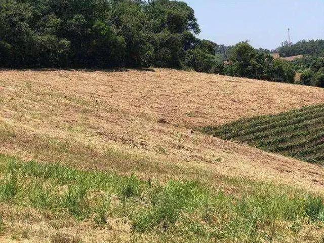Terreno / Lote para Venda em Jundiaí/SP Rio Acima