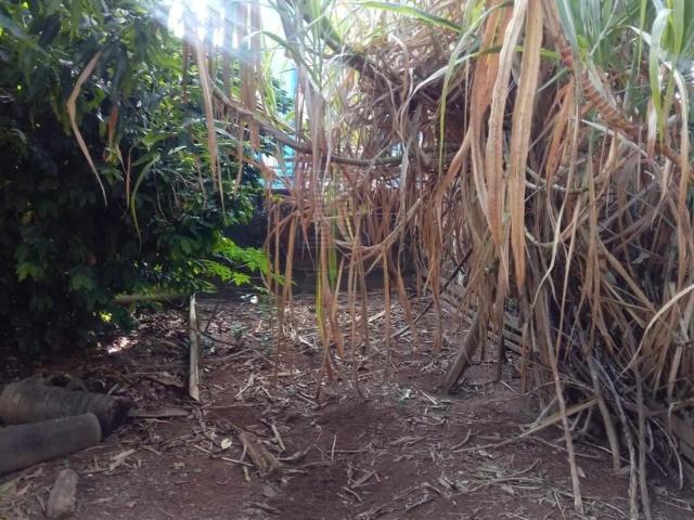 Terreno / Lote para Venda em Jundiaí/SP Vila Arens II