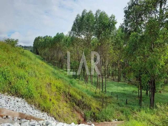 Terreno / Lote para Venda em Juatuba/MG Centro