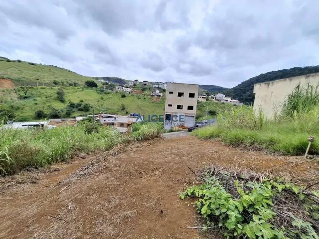Terreno / Lote para Venda em Juiz de Fora/MG Terras Altas