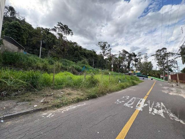Terreno / Lote para Venda em Juiz de Fora/MG Vale do Ipê