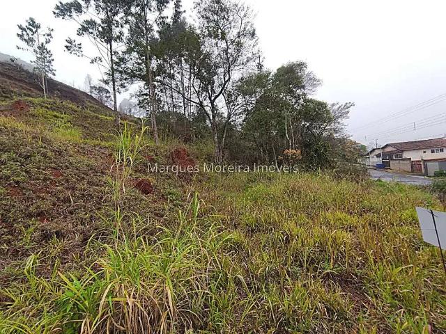 Terreno / Lote para Venda em Juiz de Fora/MG Aeroporto
