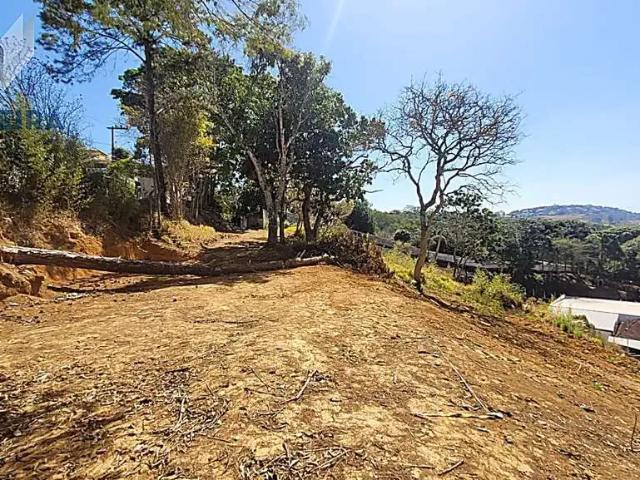 Terreno / Lote para Venda em Juiz de Fora/MG Aeroporto