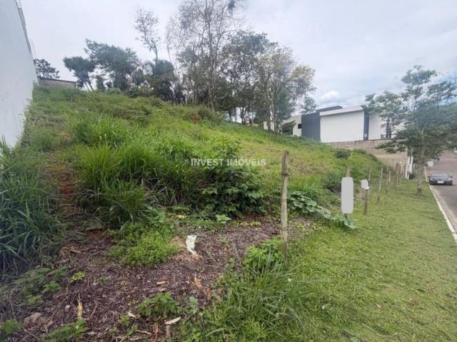Terreno / Lote para Venda em Juiz de Fora/MG Aeroporto