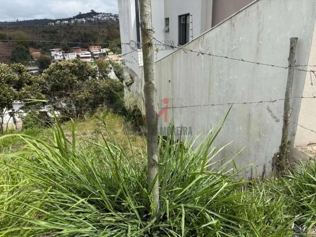 Terreno / Lote para Venda em Juiz de Fora/MG Aeroporto