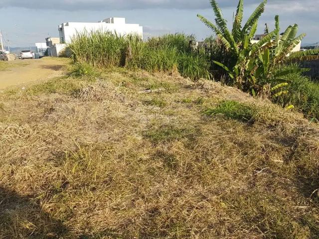 Terreno / Lote para Venda em Juiz de Fora/MG Aeroporto