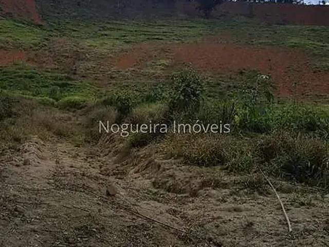 Terreno / Lote para Venda em Juiz de Fora/MG Barreira do Triunfo