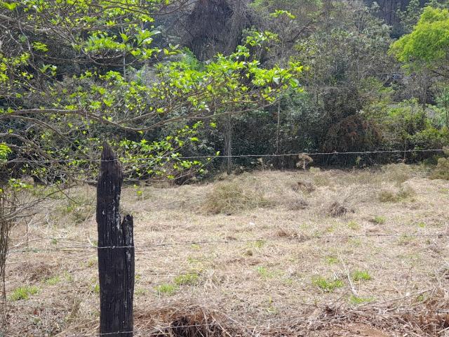 Terreno / Lote para Venda em Juiz de Fora/MG Barreira do Triunfo