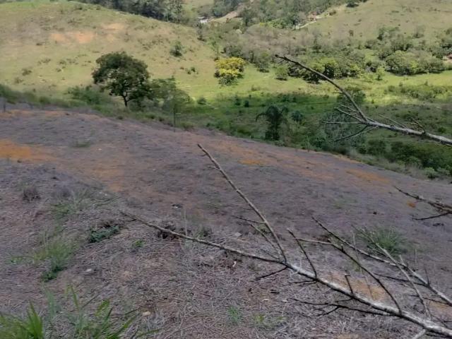 Terreno / Lote para Venda em Juiz de Fora/MG Barreira do Triunfo