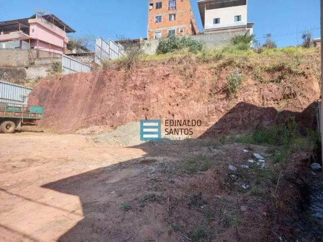 Terreno / Lote para Venda em Juiz de Fora/MG Benfica