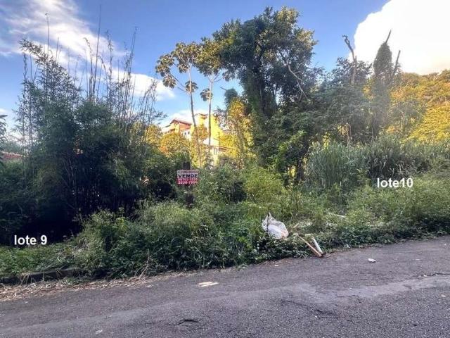 Terreno / Lote para Venda em Juiz de Fora/MG Borboleta