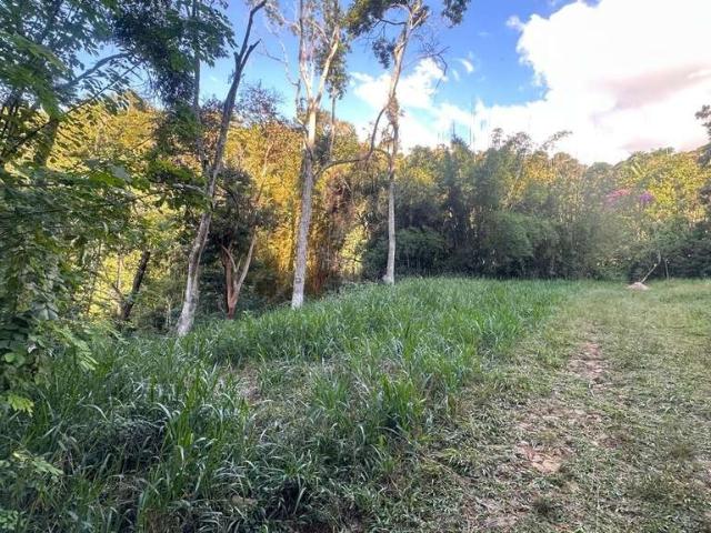 Terreno / Lote para Venda em Juiz de Fora/MG Borboleta