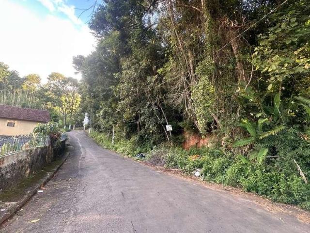 Terreno / Lote para Venda em Juiz de Fora/MG Borboleta