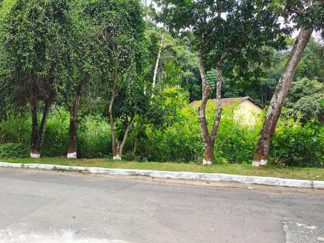 Terreno / Lote para Venda em Juiz de Fora/MG Borboleta