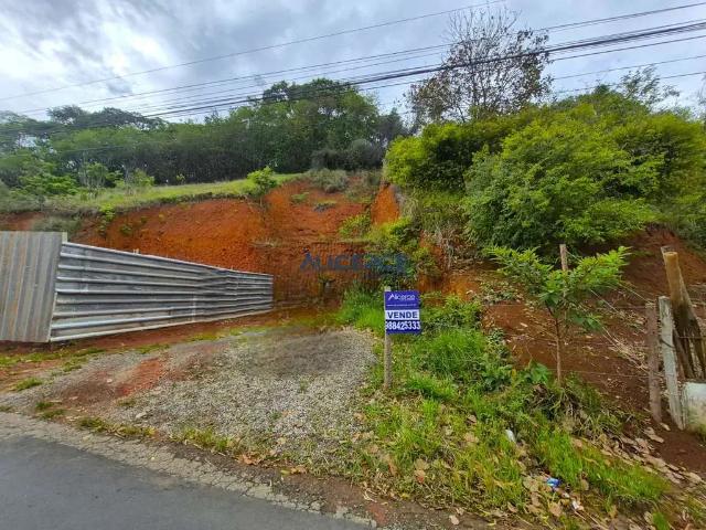 Terreno / Lote para Venda em Juiz de Fora/MG Borboleta